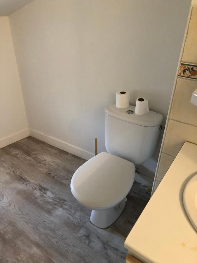 Appartement Cosy Et Lumineux Caussens Εξωτερικό φωτογραφία